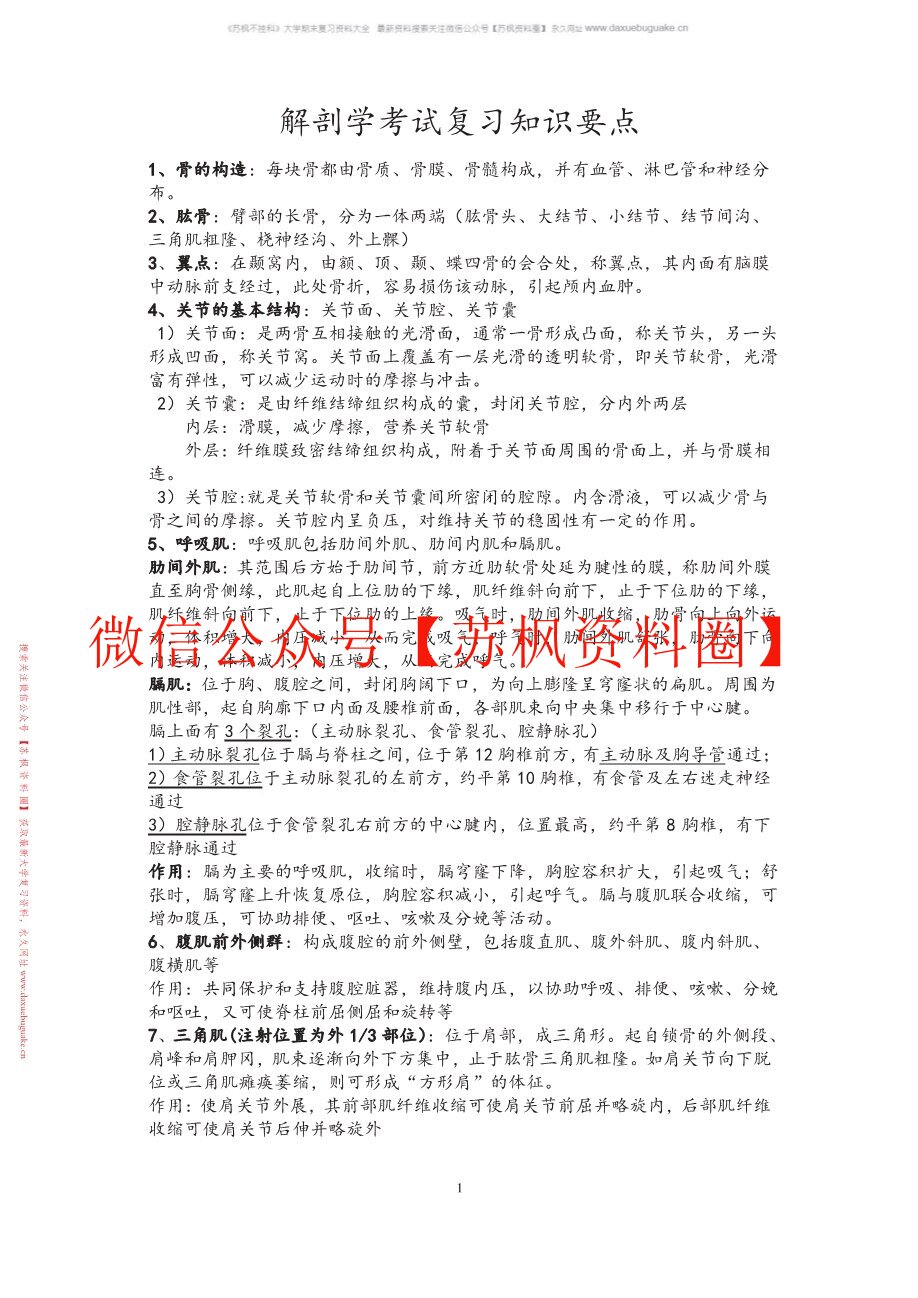 解剖学基础